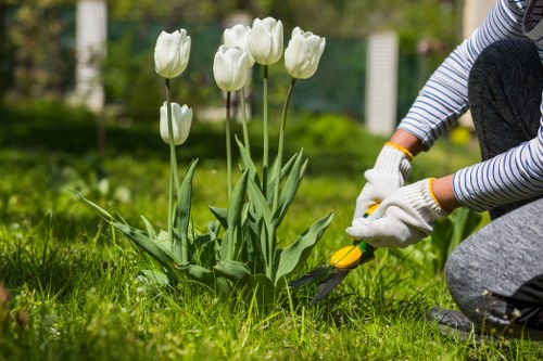 Professional hedge trimming service in Battersea garden