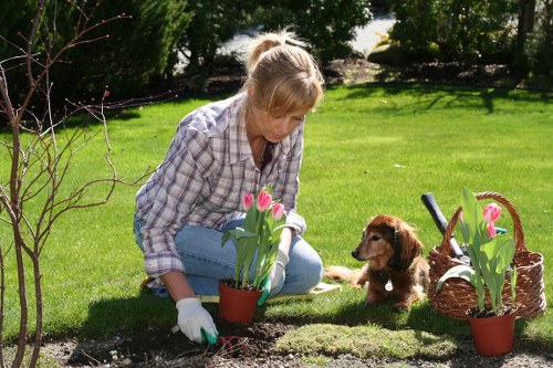 Garden maintenance team at work in a Victorian terrace garden