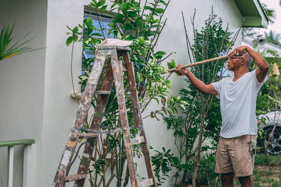 A man wearing glasses and a white t-shirt is trimming a tall green shrub with pruning shears in a garden. He is using a long-handled tool to reach the upper branches, standing on a paved surface next 