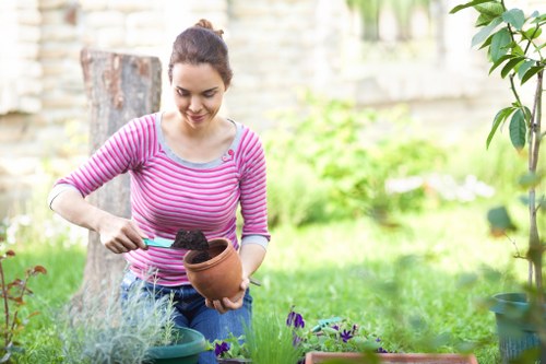 Professional garden maintenance in Battersea
